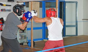 Boxe Jumpy Forme